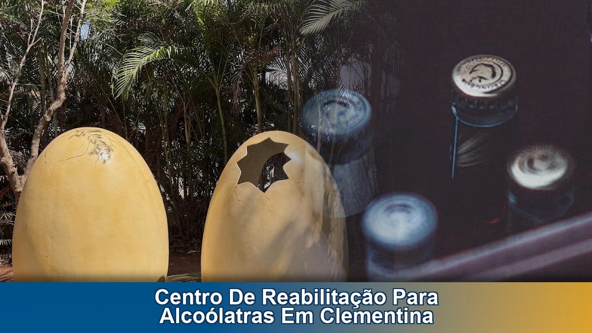 Centro de reabilitação para alcoólatras em Clementina: apoio e orientação para famílias