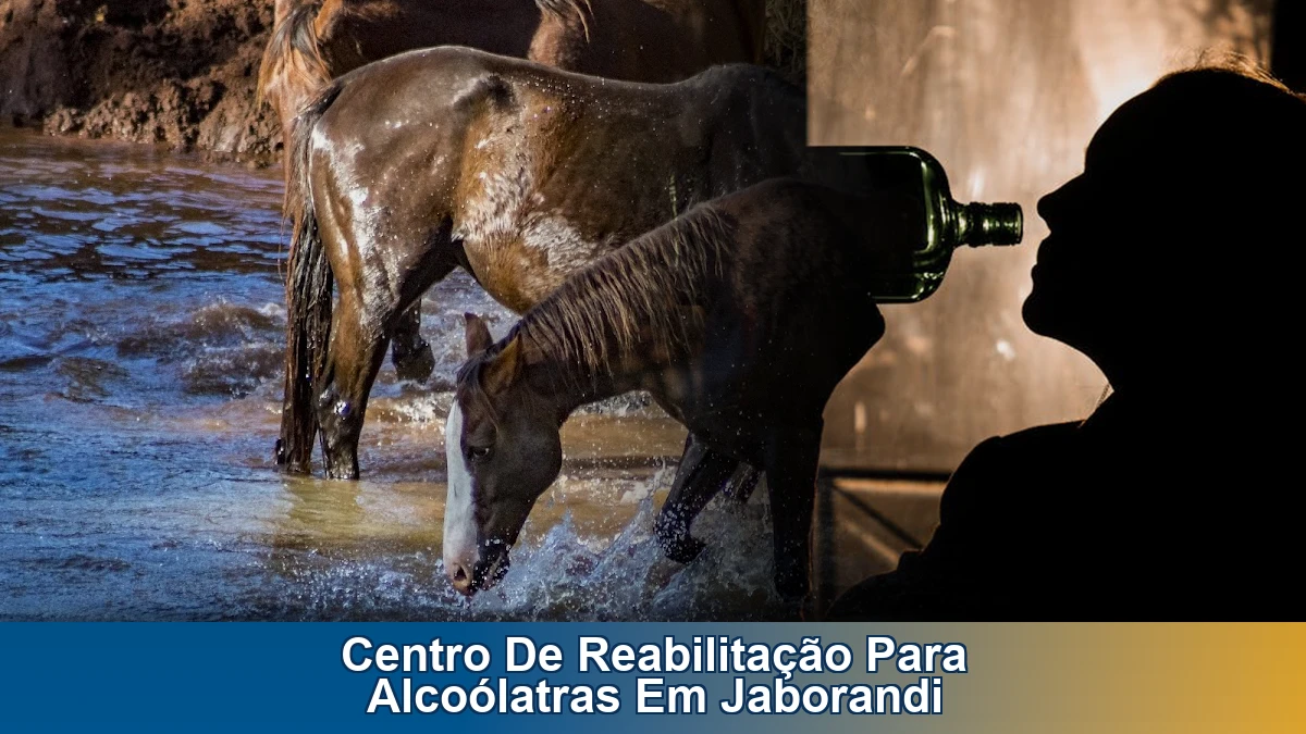 Centro de reabilitação para alcoólatras em Jaborandi