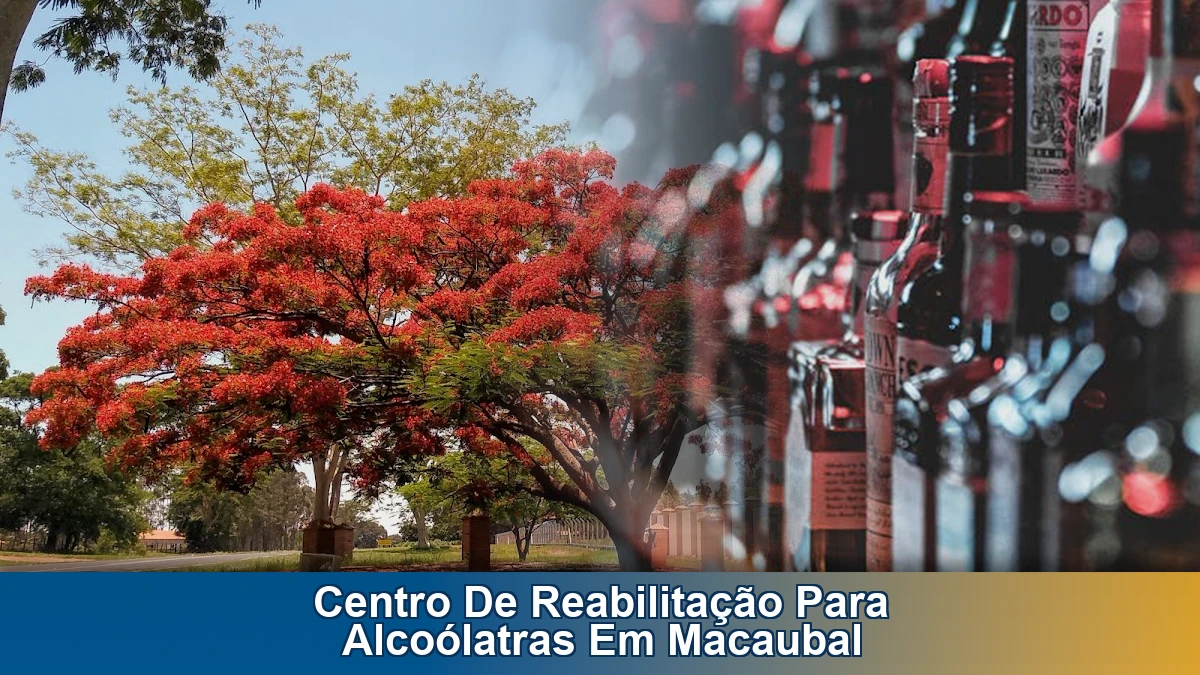 Centro de reabilitação para alcoólatras em Macaubal: sinais de alerta e orientação