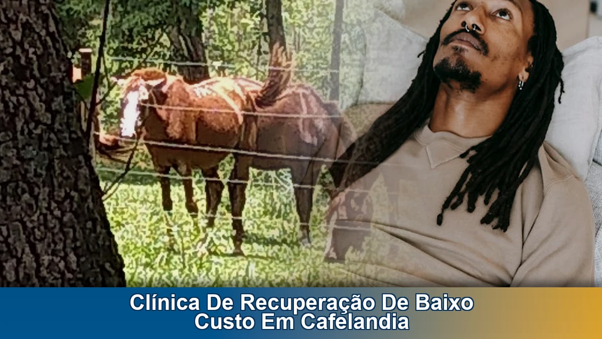 Clínica de recuperação de baixo custo em Cafelandia