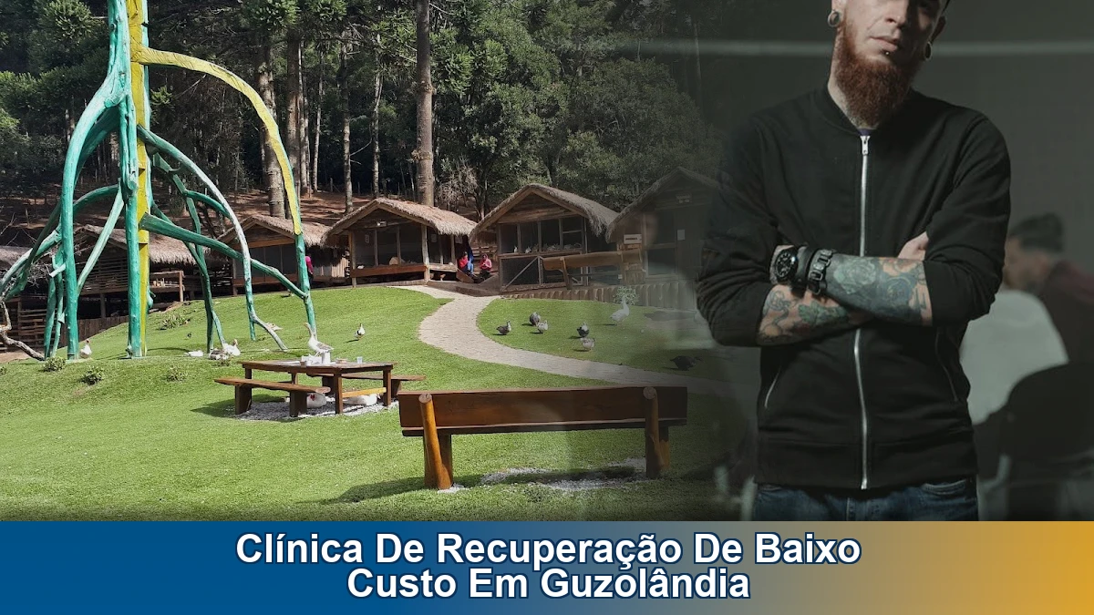 Clínica de recuperação de baixo custo em Guzolândia: internação e avaliação