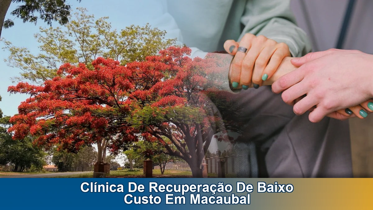 Clínica de recuperação de baixo custo em Macaubal
