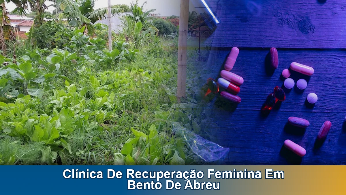 Clínica de recuperação feminina em Bento de Abreu: acolhimento e início do tratamento