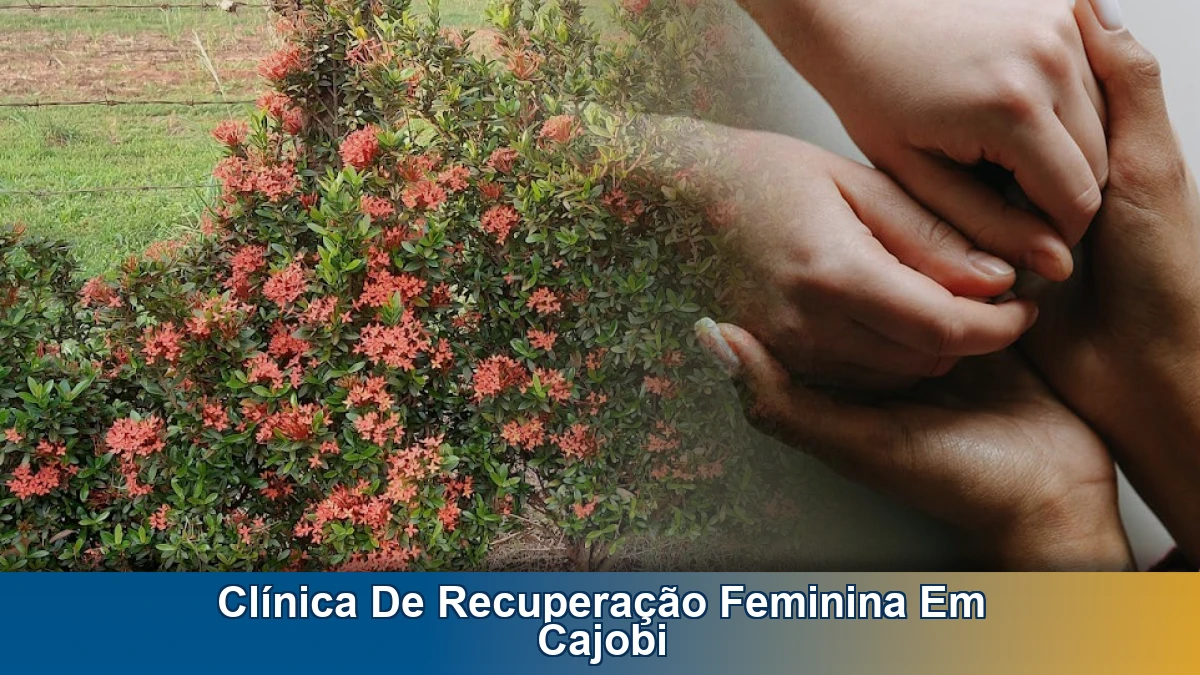 Clínica de recuperação feminina em Cajobi: como escolher o tratamento certo
