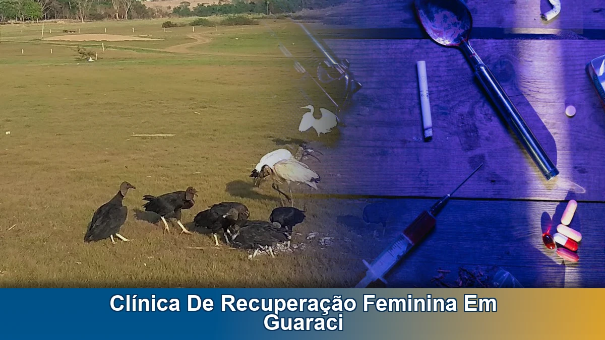 Clínica de recuperação feminina em Guaraci