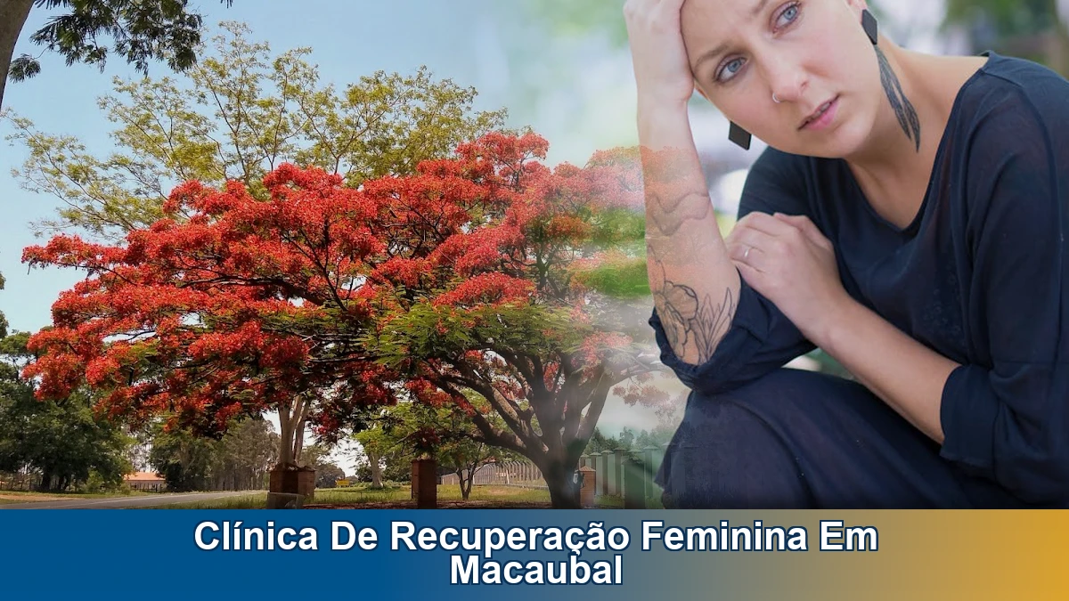 Clínica de recuperação feminina em Macaubal: orientação para famílias sobre alcoolismo