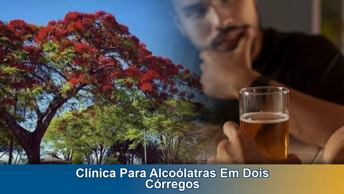 Clínica para alcoólatras em Dois Córregos: orientação para famílias e apoio no tratamento