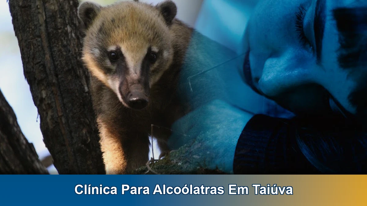 Clínica para alcoólatras em Taiúva: apoio e orientação para famílias