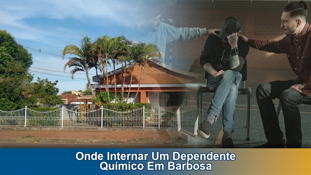 Onde internar um dependente químico em Barbosa
