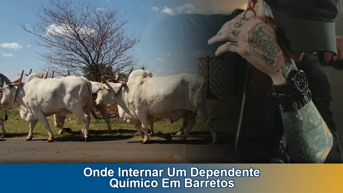 Onde internar um dependente químico em Barretos