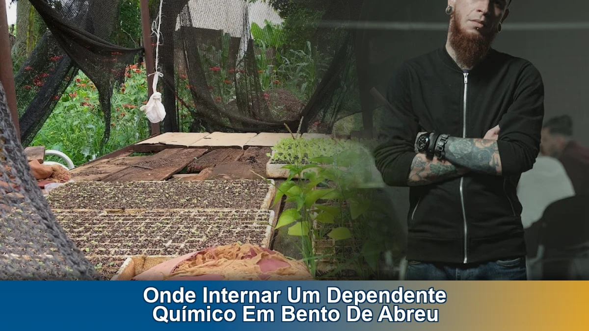 Onde internar um dependente químico em Bento de Abreu