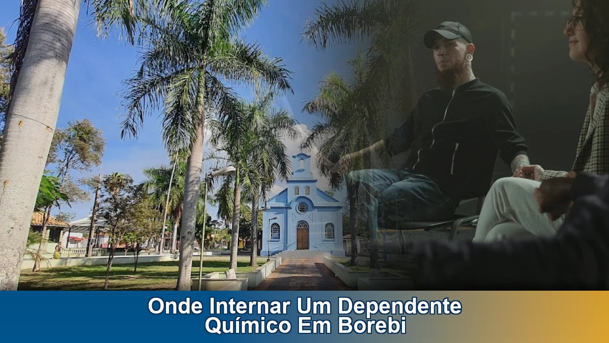 Onde internar um dependente químico em Borebi