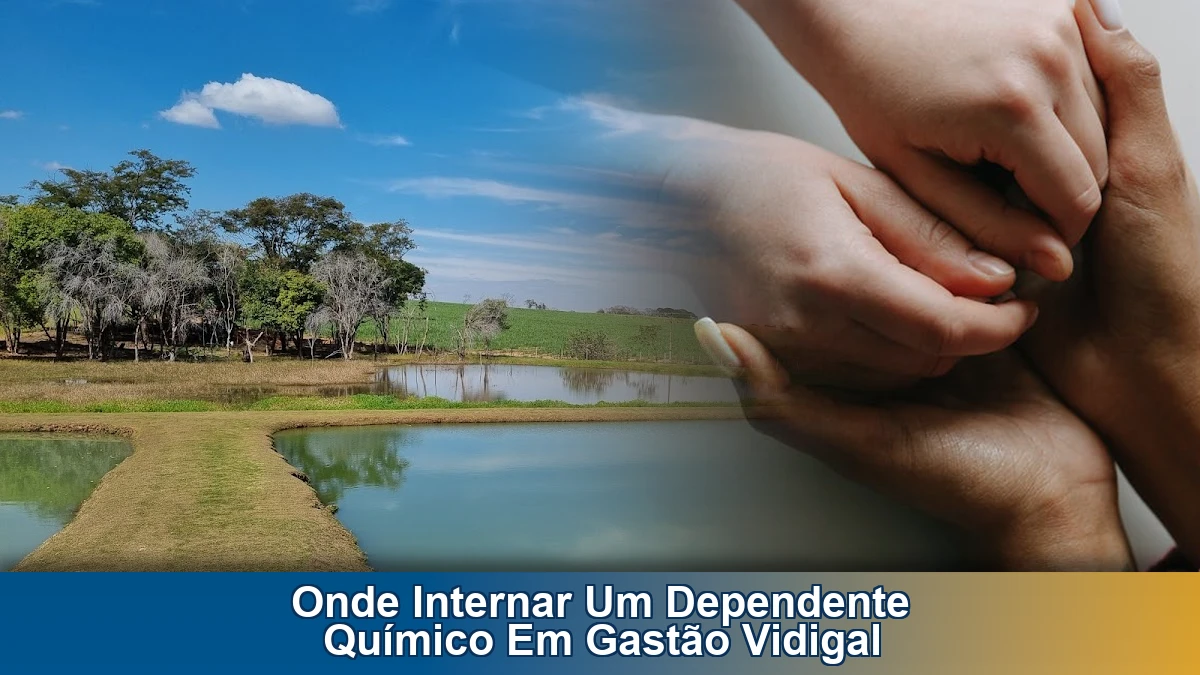 Onde internar um dependente químico em Gastão Vidigal