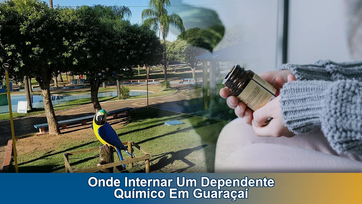 Onde internar um dependente químico em Guaraçaí