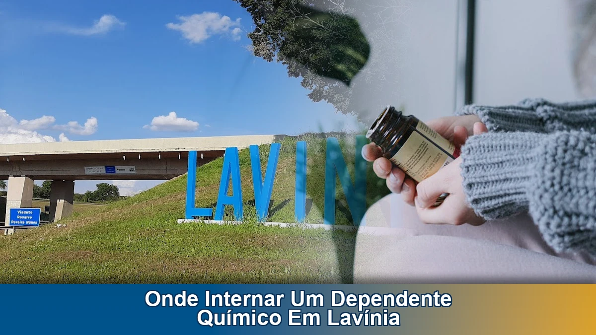 Onde internar um dependente químico em Lavínia