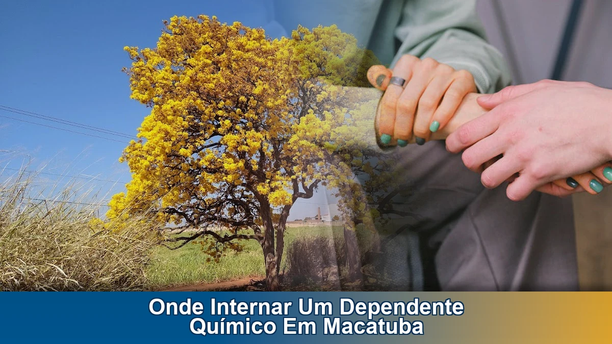 Onde internar um dependente químico em Macatuba