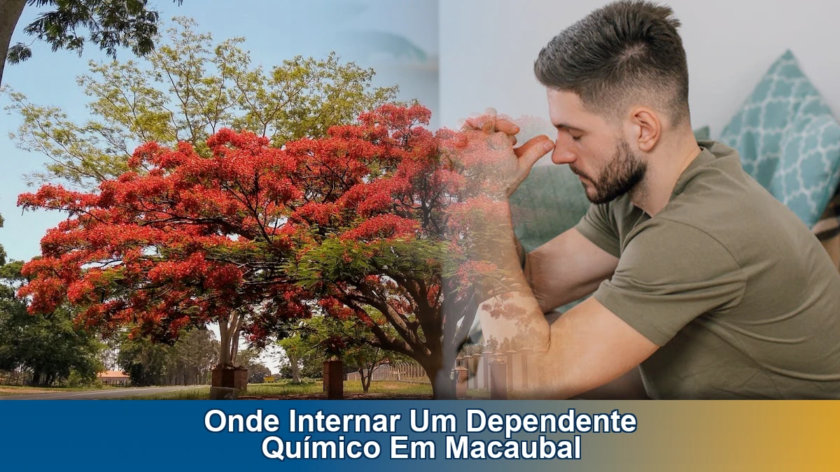 Onde internar um dependente químico em Macaubal