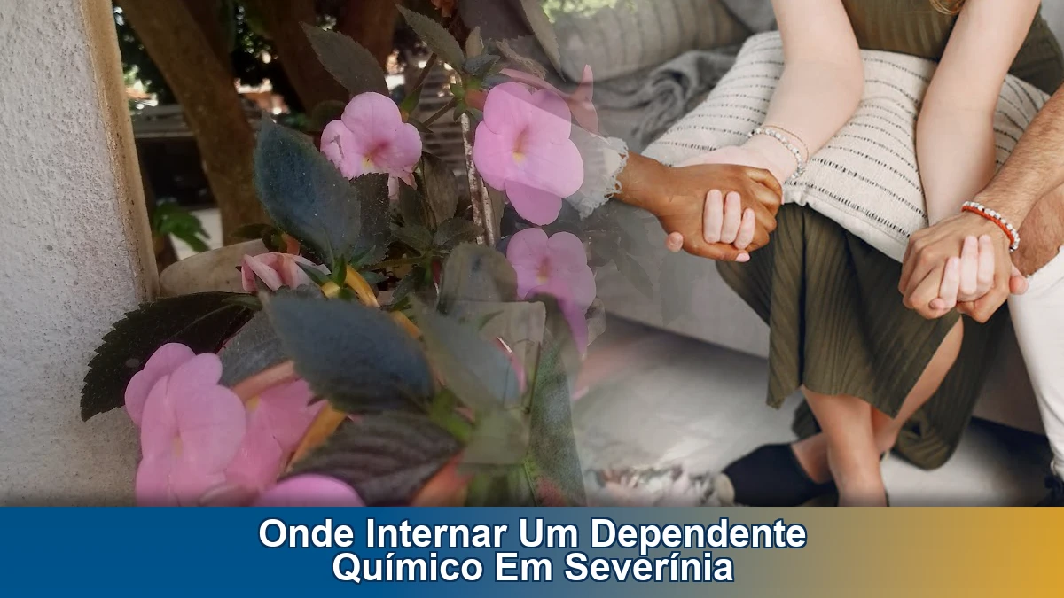Onde internar um dependente químico em Severínia