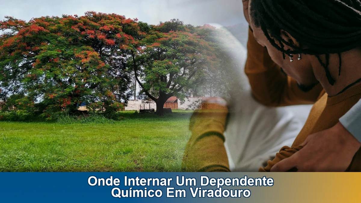 Onde internar um dependente químico em Viradouro: como escolher o tratamento certo