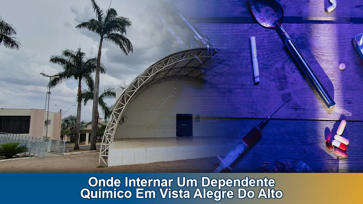 Onde internar um dependente químico em Vista Alegre do Alto